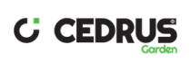 Cedrus