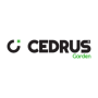 Cedrus